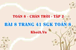Bài 8 trang 41 Toán 8 Chân trời sáng tạo Tập 2